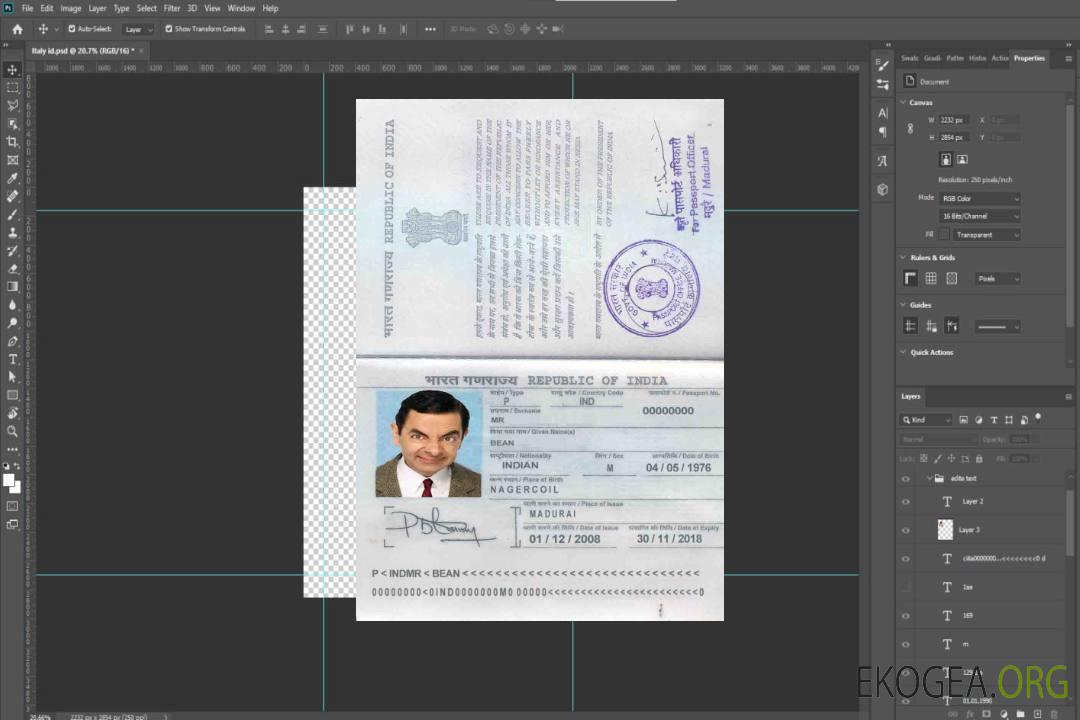 Passeport indien template Passeport indien template